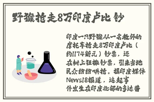 趣夜免费版本下载
